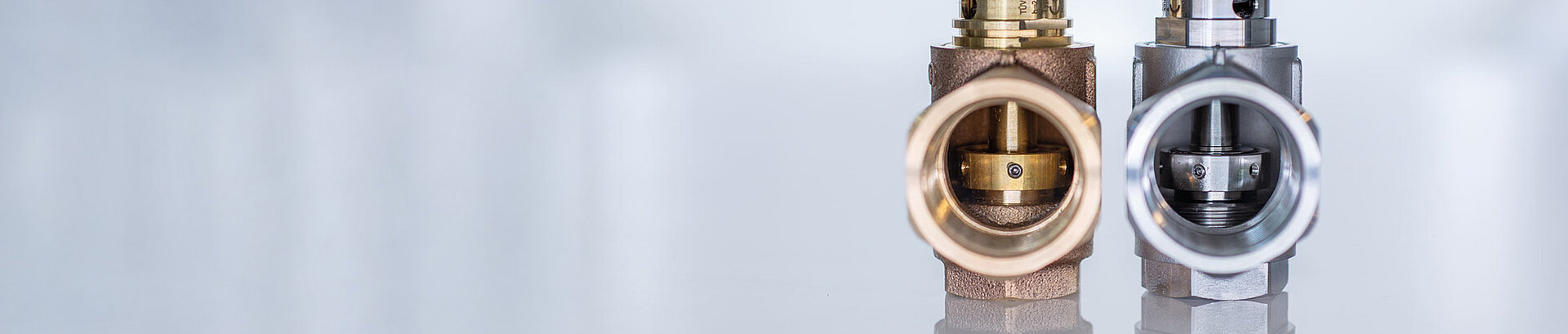 CERTUSS steam generator components